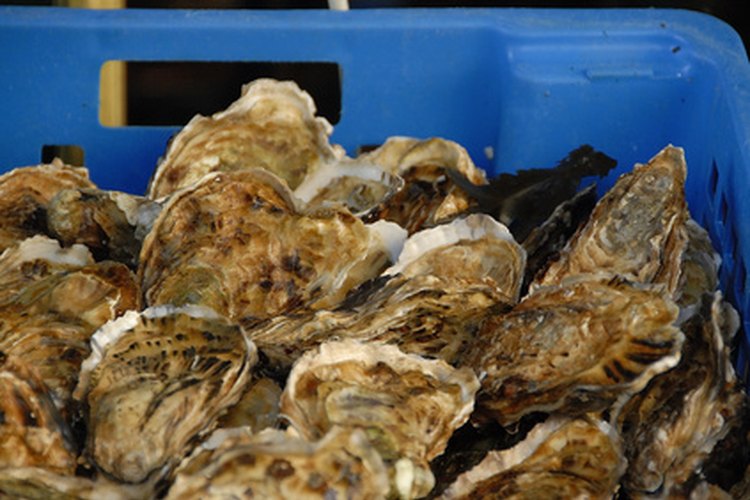 Las ostras crudas pueden causar una reacción alérgica o una intoxicación alimentaria.