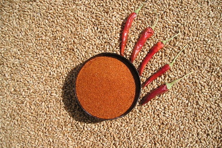 El chile en polvo está hecho del chile picante seco.