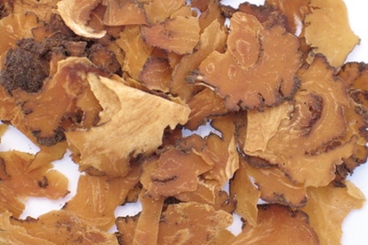 El ginseng puede ayudar a reparar las células cerebrales.