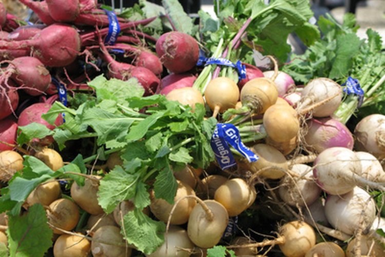 Los nabos con sus hojas te ofrecen dos vegetales en la misma compra.