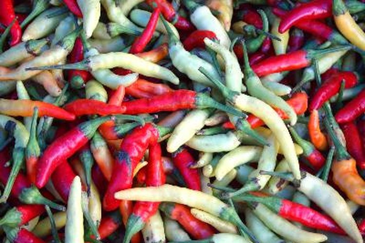 Los chiles, ajíes o pimientos picantes son sabrosos y pueden proporcionar beneficios para la salud, pero también generan efectos secundarios.