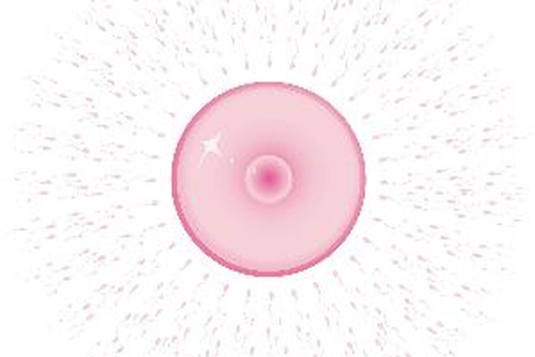 Mirena altera los niveles hormonales de la mujer.