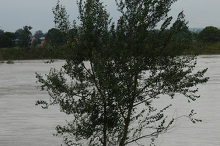 Inundaciones.