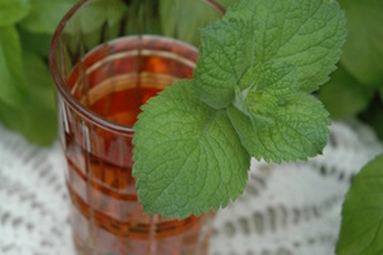 El té de menta puede aliviar el malestar estomacal y calmar la tos.