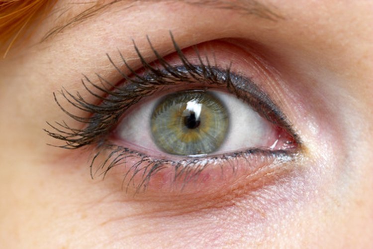 El ojo absorbe la luz entrante y la convierte en impulsos eléctricos.