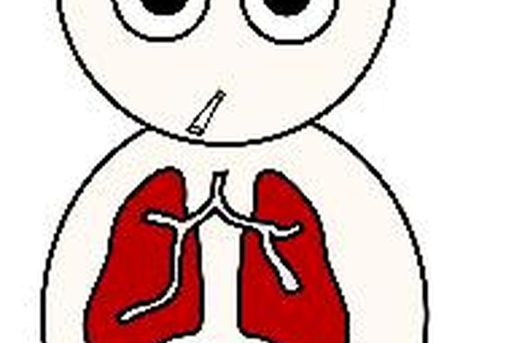 Los pulmones no son simétricos.