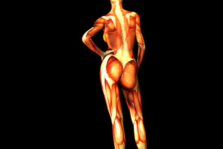 Ciertos fármacos pueden tener el efecto secundario de causar inflamación muscular en algunas personas.