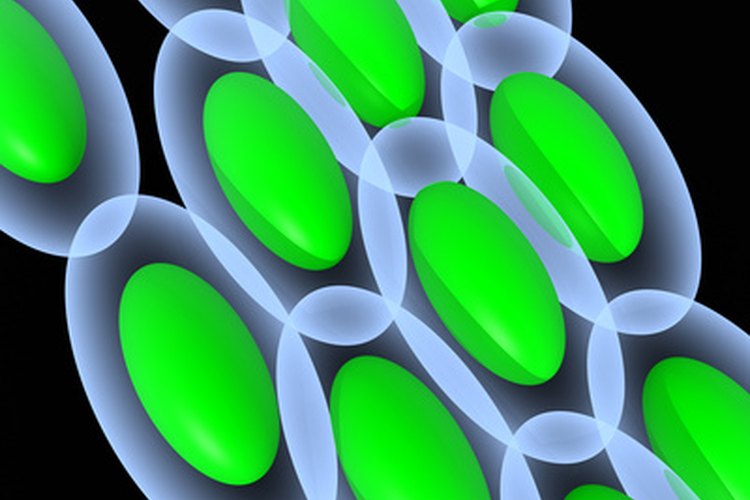 Cada bacteria consta de una sola célula.