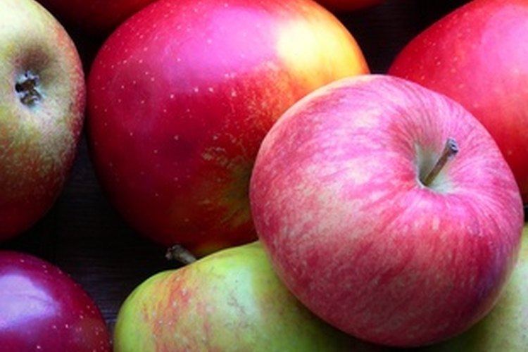 Puedes incluir manzanas en una dieta para bajar el azúcar en la sangre y los niveles de colesterol.