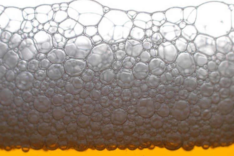 La saccharomyces cerevisiae es más conocida como levadura de pan o de cerveza.