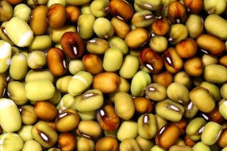 La soja es la única proteína vegetal completa.