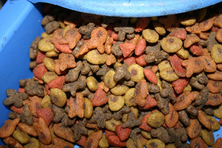 El alimento seco no es una buena opción para la salud del tracto urinario.