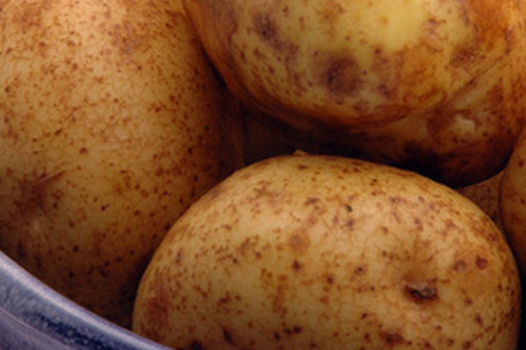 Las patatas son el cuarto cultivo más importante del mundo.