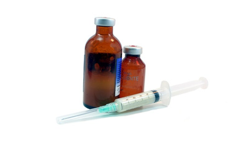 La fiebre por mordedura de rata se trata con penicilina y otros antibióticos.