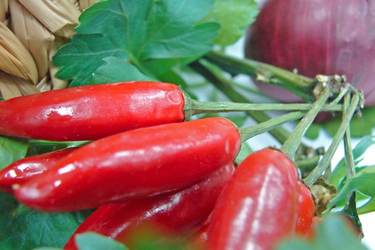 La capsaicina es responsable de la sensación de quemazón provocada por comer picante.