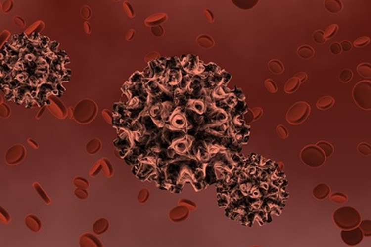 La rabia es una infección viral.