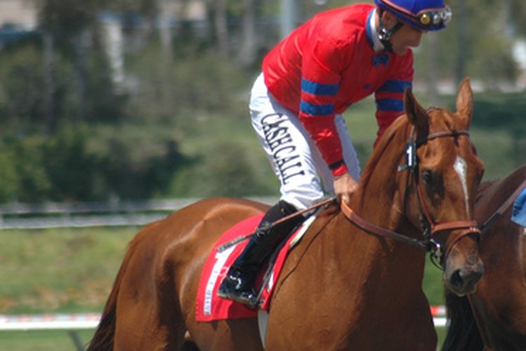 El peso de un jockey es una principal consideración de la carrera.