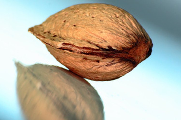 Las almendras son saludables para ti, pero pueden no ser ideales para una merienda después del entrenamiento.