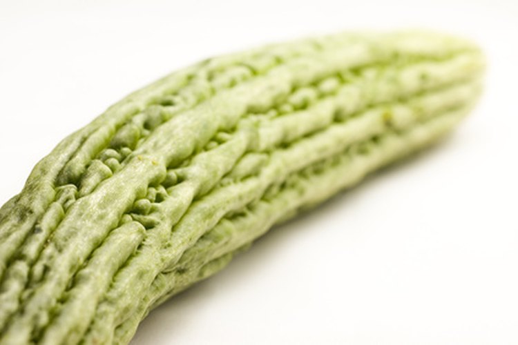 El melón amargo es muy nutritivo.