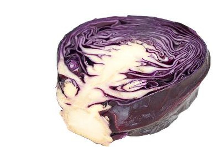 La col morada fresca le da sabor a las ensaladas verdes.