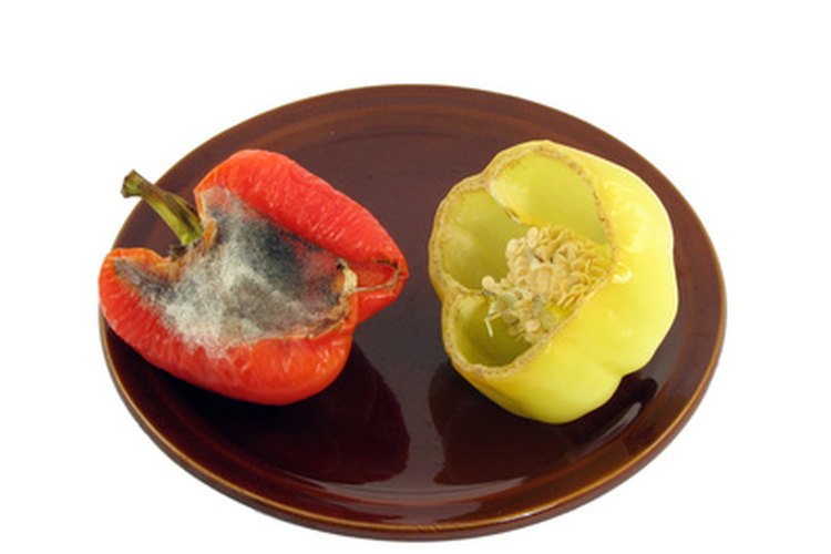 Es recomendable desechar los alimentos blandos con moho.