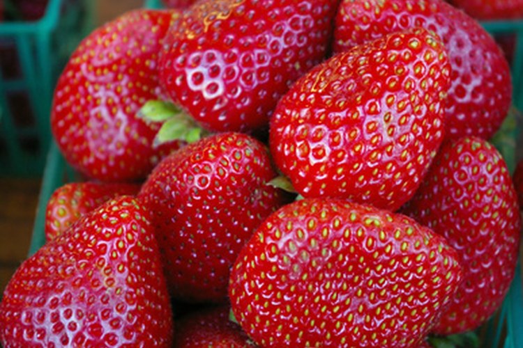 Cuando no sea temporada de fresas frescas, considera congelarlas.