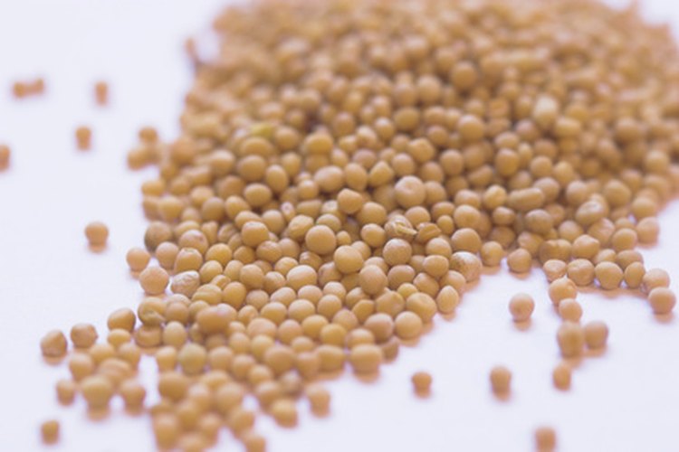 Difference Between Mustard Seed & Dry Mustard LEAFtv