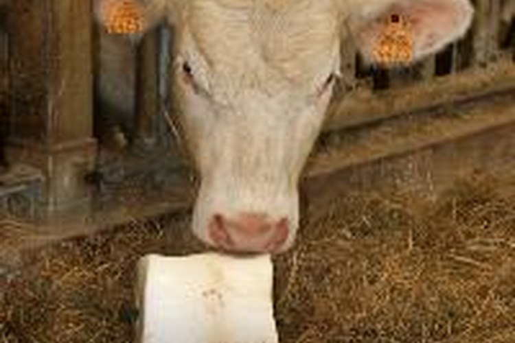 La leche puede aliviar los síntomas de las úlceras.