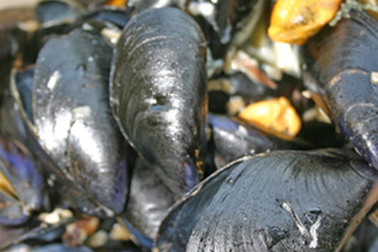 De acuerdo con el FDA (siglas en inglés de Administración de Drogas y Alimentos), los mejillones no son un alimento alto en colesterol.