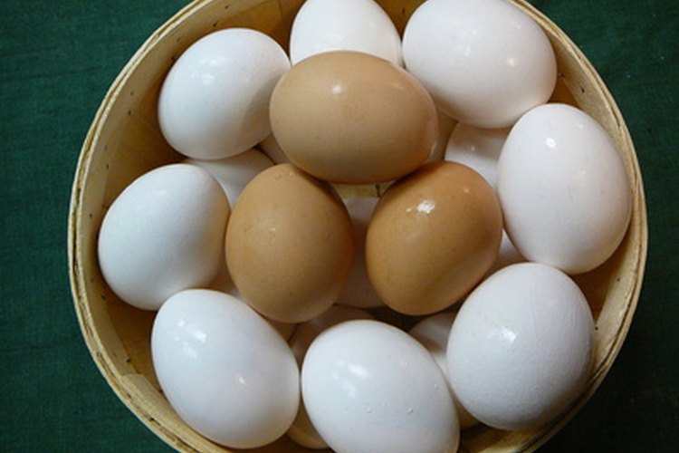 Los huevos cafés y los huevos blancos tienen el mismo contenido de grasa.