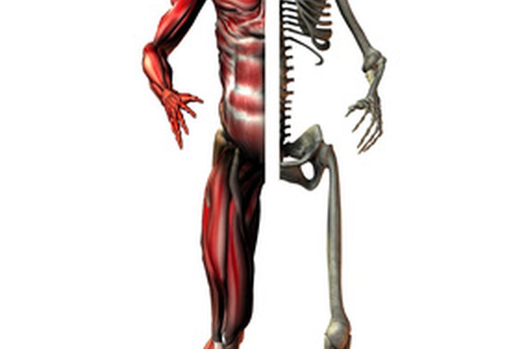 Síntomas de colon perforado