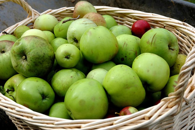 Si eres un vegano o vegetariano, comer manzanas y maní es una excelente manera de añadir más proteínas a tu dieta.
