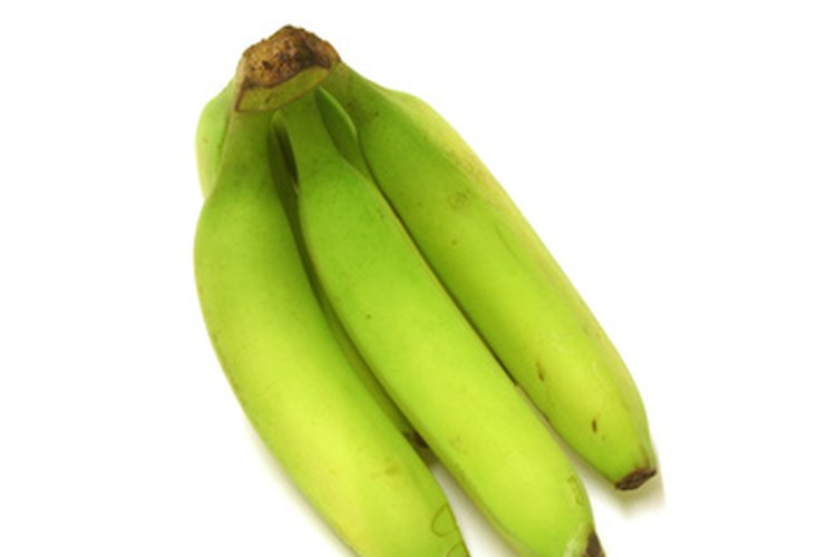 Aunque los plátanos lucen como bananas, se los utiliza de forma diferente.