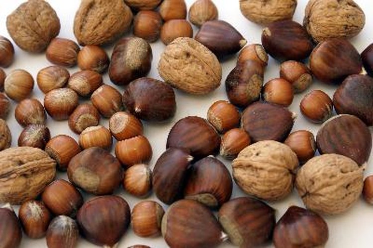 Las nueces proporcionan aminoácidos esenciales.