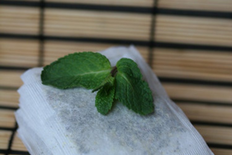 Las bolsitas de té de menta pueden repeler varias plagas.