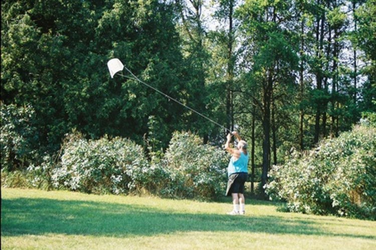Puedes contraer garrapatas en actividades al aire libre.