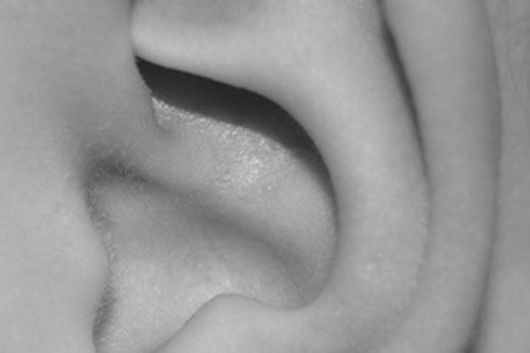 La oreja contiene muchos puntos de acupresión.