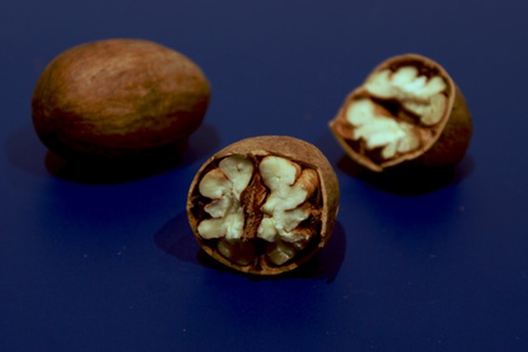 Las nueces pecan son energéticamente densas y contienen altos niveles de grasas insaturadas.