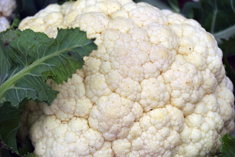 La coliflor es un excelente aporte a tu dieta.