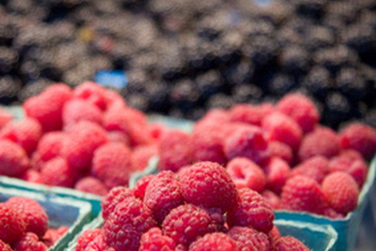 Las bayas son un antioxidante poderoso.