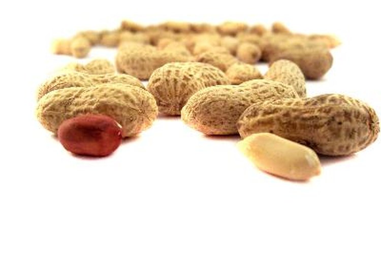 Las castañas pueden no ser tan comunes como los otros tipos de nueces, pero igual brindan muchos beneficios para la salud.