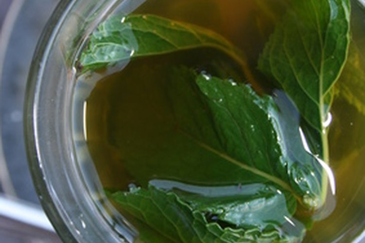Hierve a fuego lento hojas de menta fresca o desecadas para hacer el té de menta.