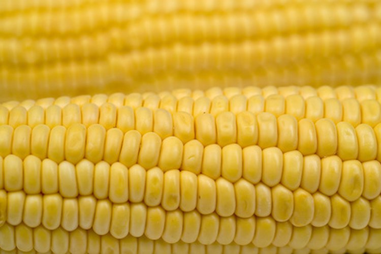 Los carbohidratos del maíz contribuyen a tus necesidades diarias de energía.