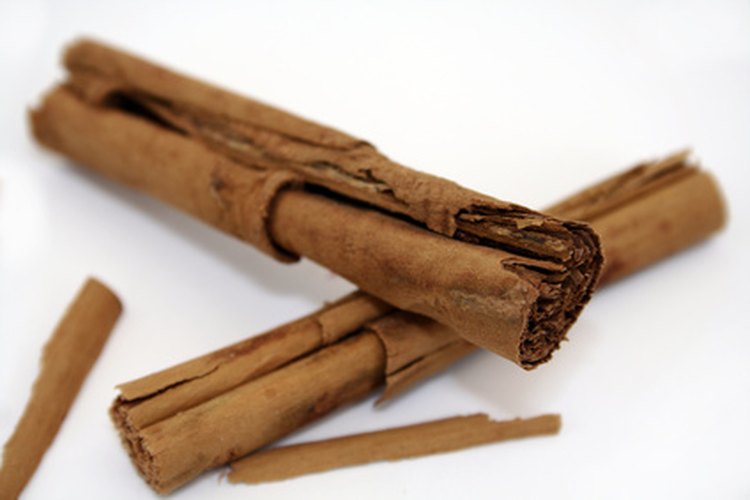 Es Seguro Tomar Complementos Con Canela Si Amamantas A Tu