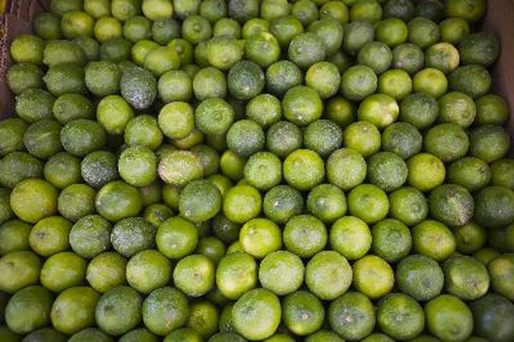 Las limas son excelente fuente de vitamina C como ácido ascórbico.