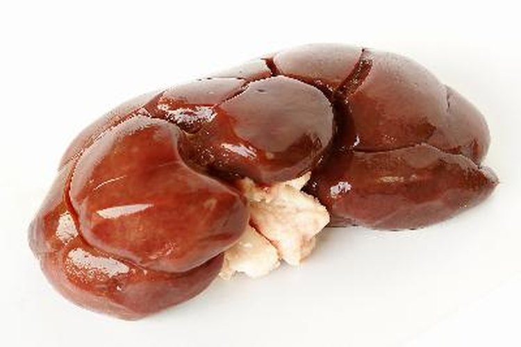 El riñón es el órgano que se encarga de filtrar agua, glucosa, sal y urea del torrente sanguíneo.