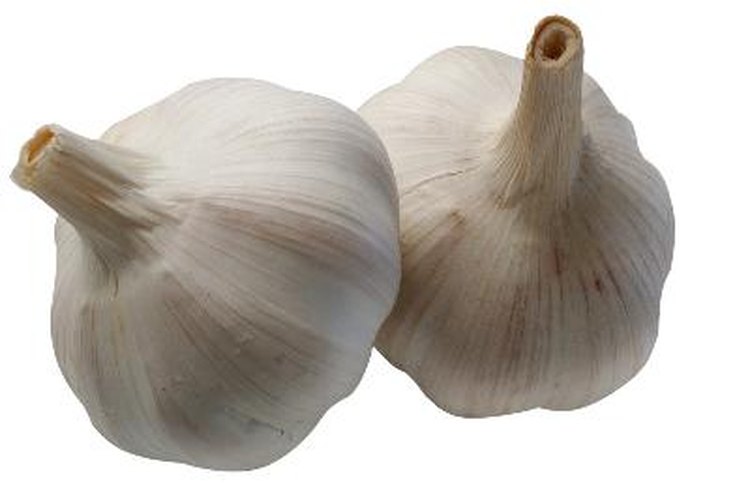 Conoce cuáles son las mejores píldoras de ajo.