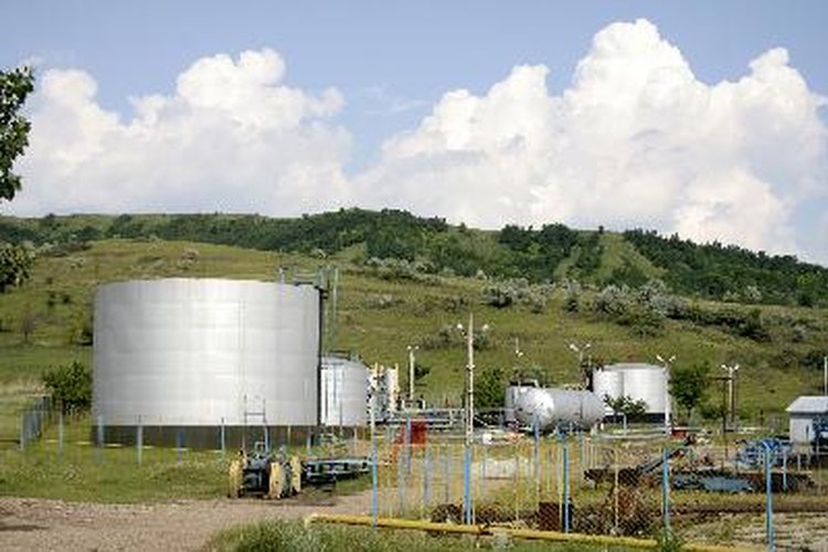 Es sabido que algunas bacterias transforman a los animales muertos y al petroleo.