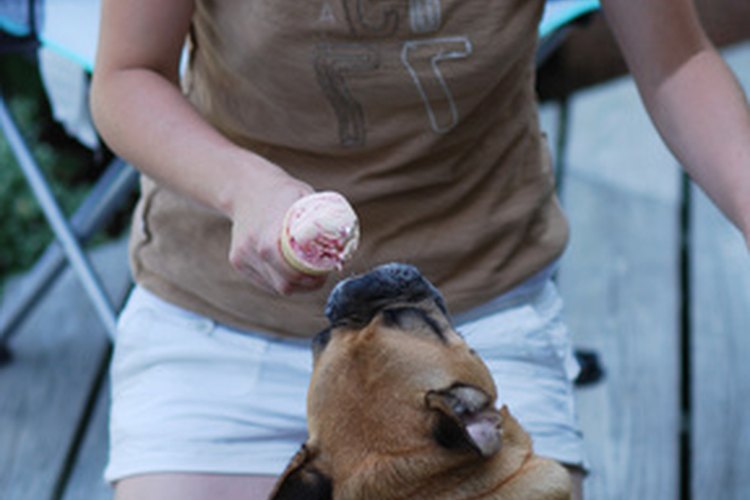 Tanto los perros como sus dueños pueden estar infestados con ácaros demodex.