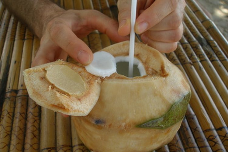 Carne de coco, el aceite y la leche tienen beneficios para la salud.